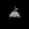 رُقـيـه،