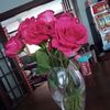 donna.jean545