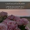 amal.qadi3