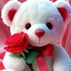 ana.maria.diaz238