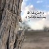 noor11898