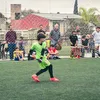 pedroo.15_0