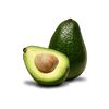 palta4327