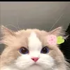 vnieb8