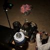 poil_305