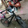 erul_singgang_298