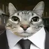 gatufino.0
