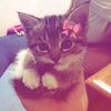 lizzie.nnoucy