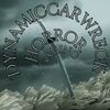 dynamiccarwreck