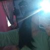 dvy_tsry