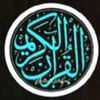 habib.chy84