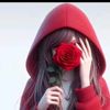 user75838148718863