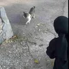 mayw_11