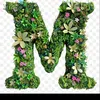 user1979955120698