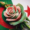 user4217674201481