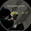 saiyaara_559