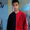 surchi2007