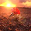 nazha_91