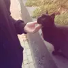 zoze_564