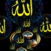 shahida.begum683