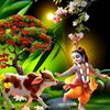 rajibinu24