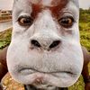 its_rexxz99