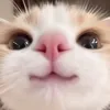 tyqihjq
