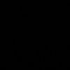 d3n1s2_0