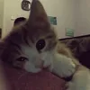 fxithy_6