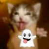 namefe_76