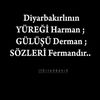selin.7821
