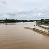 cailonmemay832