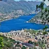 graziellacolombo80