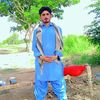 habib86951