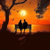 soqar6