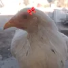 ali...m...j