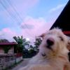 captain201318