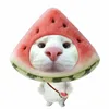 tramanhlilon