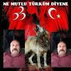 baris4169