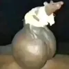 .slamax