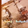 الجعلي 515