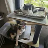 jolie.minette