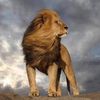 mohamed.mimo46