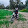 tal5256