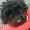 gabiuffsep6