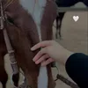 10hhv