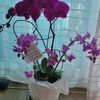 user3206612528141