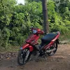 malaytian