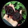 user4815066199623