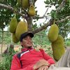 zulislam18